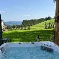 Waldheimatblick，位于圣卡瑟林阿哈的酒店