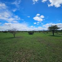 Serene camping，位于塔勒克Olare Orok Airstrip - OLG附近的酒店