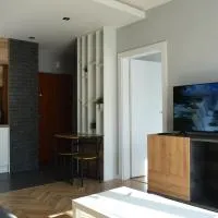 Apartment Sosnowiec City - Free Parking - easy check-in，位于索斯诺维茨的酒店