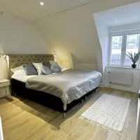 Attic Hostel，位于布罗斯的酒店
