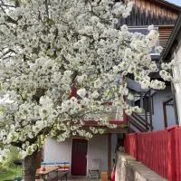 Obertraum Appartement und Ferienwohnung，位于Solnhofen的酒店