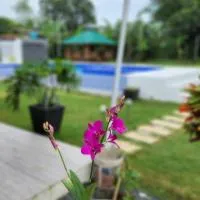 Benido Farm - A Secret Haven，位于San Jose的酒店