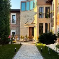 Nurellari Winery Cellar and Guest House，位于培拉特的酒店