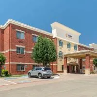 麦金尼 - 艾伦康福特套房酒店，位于麦金尼的酒店
