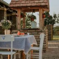 Seosko turističko domaćinstvo Biser，位于Stara Bingula的酒店