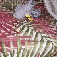 Penu Maurua 2，位于Te-Fare-AriiMaupiti Airport - MAU附近的酒店