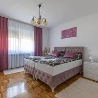 Apartman Marta i soba Maja，位于Gradište的酒店