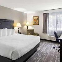 Best Western Saluki Inn，位于卡本代尔的酒店