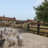 Bellmanear Farm Cottage，位于莫尔顿的酒店
