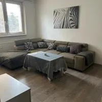 Cosy apartment near the center，位于罗日尼亚瓦的酒店