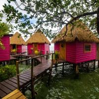 Urraca Monkey Island Eco Resort，位于Buena Vista的酒店