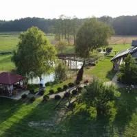 Gospodarstwo Agroturystyczne ,,A KU KU''，位于Rozalin的酒店