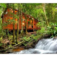 热带雨林酒店，位于春溪的酒店