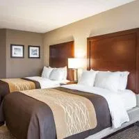 Quality Inn & Suites Orland Park - Chicago,位于奥兰帕克的酒店