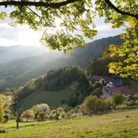 Logis Hôtel-Restaurant Auberge Du Mehrbachel，位于圣阿玛尼的酒店