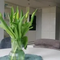 Apartament 35，位于奥尔什蒂内克的酒店