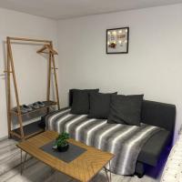 Studio Nebiu 1，位于圣路易EuroAirport Basel–Mulhouse–Freiburg - MLH附近的酒店