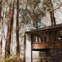 Forest Retreat，位于Upwey的酒店