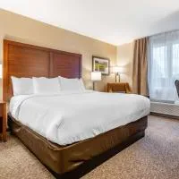 Comfort Inn & Suites，位于戈德里奇的酒店