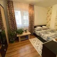 Apartament confortabil,位于Luduş的酒店
