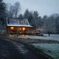 Cozy Cabin By the Slopes，位于麦克亨利的酒店