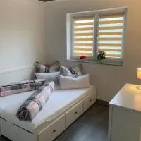 Ferienwohnung im grünen-auf dem Land,位于Dittersdorf的酒店