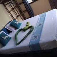 Luca&Irina airport comfort，位于桑给巴尔阿贝德·阿曼尼·卡鲁姆国际机场 - ZNZ附近的酒店