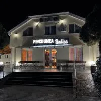 Pensiunea Rodica，位于讷德拉克的酒店