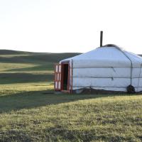Nomad Equestrian Stable，位于DzuunmodNew Ulaanbaatar International Airport - UBN附近的酒店
