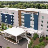 SpringHill Suites By Marriott Charleston Airport & Convention Center，位于查尔斯顿North Charleston的酒店