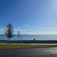 Shell's Beachfront BnB，位于纳皮尔内皮尔机场 - NPE附近的酒店