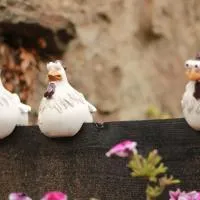 El gallinero de la villana,位于巴尔塞那马约尔的酒店
