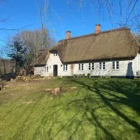 Cozy cottage getaway Holse，位于Brenderup的酒店