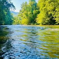 The Hala Lodge and Campground -Riverfront Class 5 -2bed 2bath on Nantahala River，位于布赖森城的酒店