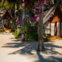 81 Palms Resort，位于内布拉拉的酒店