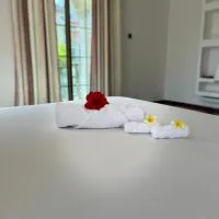 skyport villa，位于桑给巴尔阿贝德·阿曼尼·卡鲁姆国际机场 - ZNZ附近的酒店