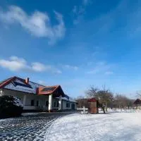 Csonkás Kúria Vendégház Zemplén,位于Mogyoróska的酒店