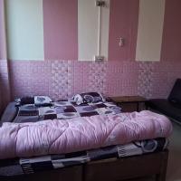 Hotel Shah Paradise，位于BīrganjSimara Airport - SIF附近的酒店