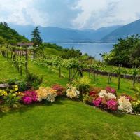 Casa Sole，位于GambarognoLocarno Airport - ZJI附近的酒店