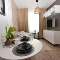 Apartamenty K netflix wi-fi，位于瓦乌布日赫的酒店