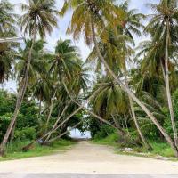 Bahee Residence，位于KulhudhuffushiKulhudhuffushi Airport - HDK附近的酒店