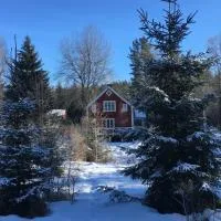 Hytte i Nordlige Varmland ved Branas，位于Likenäs的酒店
