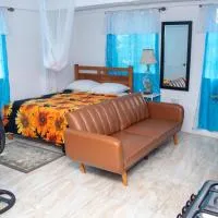 PRI Studio Apartment，位于Arnos Vale的酒店