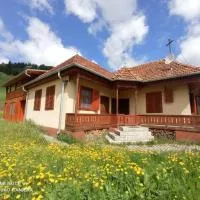Öreg Tornácos Lak，位于Lunca de Sus的酒店