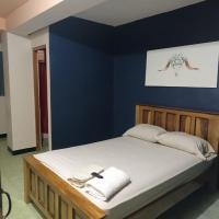 Panamá Hostels Inn，位于戴维恩里克·马利克国际机场 - DAV附近的酒店