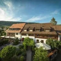 Hirschen Erlinsbach Swiss Quality，位于Erlinsbach的酒店