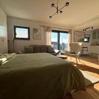 Loft Tower Sisseln,位于Eiken的酒店