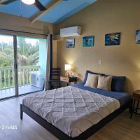 Yonegan Plumeria Hilo Hotel，位于希洛希洛国际机场 - ITO附近的酒店