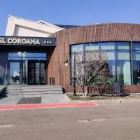 Hotel Coroana，位于Tîrgu Frumos的酒店