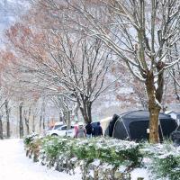 Riverside Forest Pension Camping，位于加平Sang-myeon的酒店